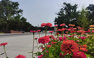 沈阳辽河旁的龙生墓园,守护永恒的家园