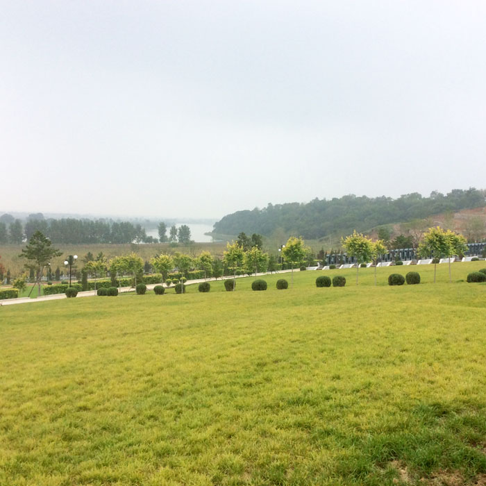 龙生墓园绿意盎然的草坪