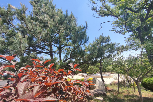 沈阳公墓的灵堂和祭祀设施!