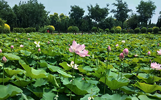沈阳公墓母亲河长眠地