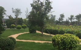 龙生墓园最新一轮特价墓地公布，买墓何须等到清明节？