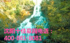 买墓园要从哪些方面考虑