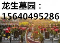 龙生墓园-有龙腾空而起