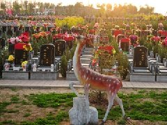沈阳龙生-先人安息祥和之地