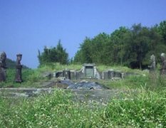 墓地栽什么树风水好