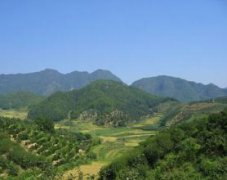 分析如何看坟墓的地形风水宝地